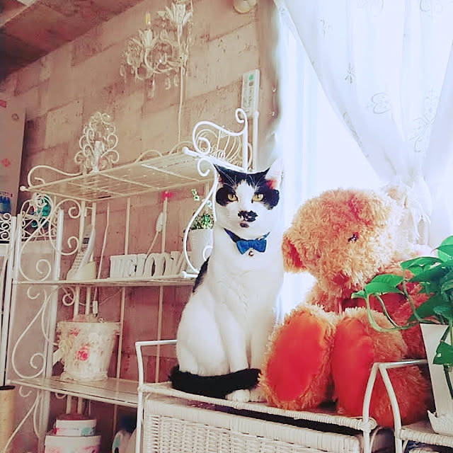 asuminさんの実例写真