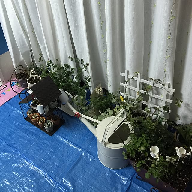 fusaさんの実例写真