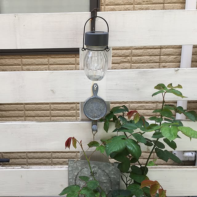 RURULOVEさんの実例写真