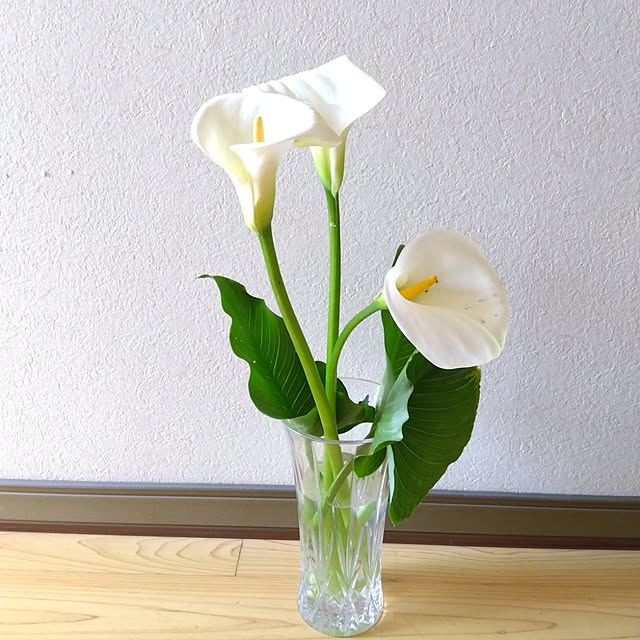 Motomeさんの実例写真