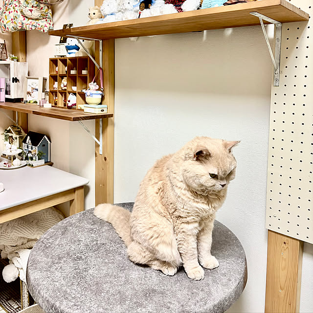 naokoさんの部屋