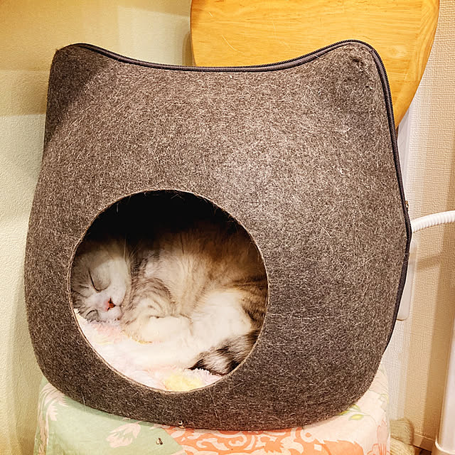 sakura_171220さんの実例写真