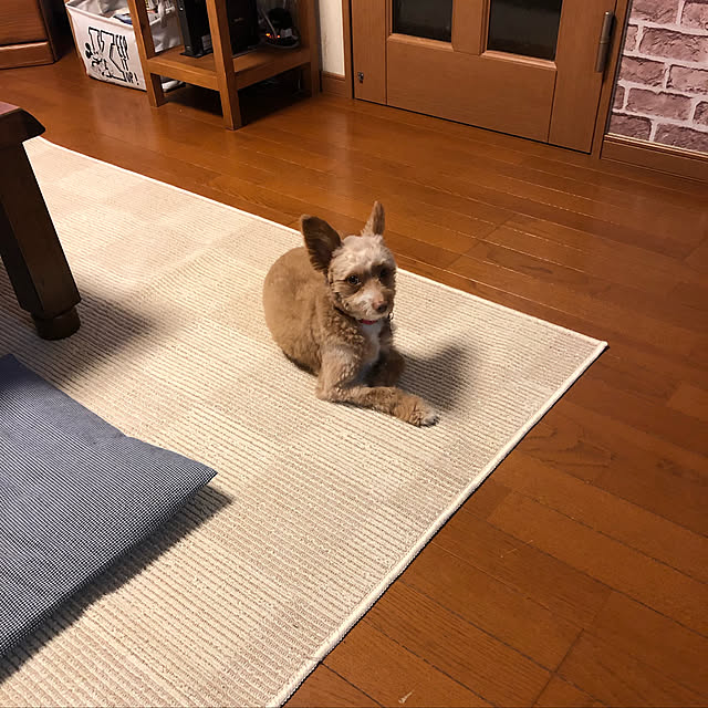 lovesoraさんの実例写真