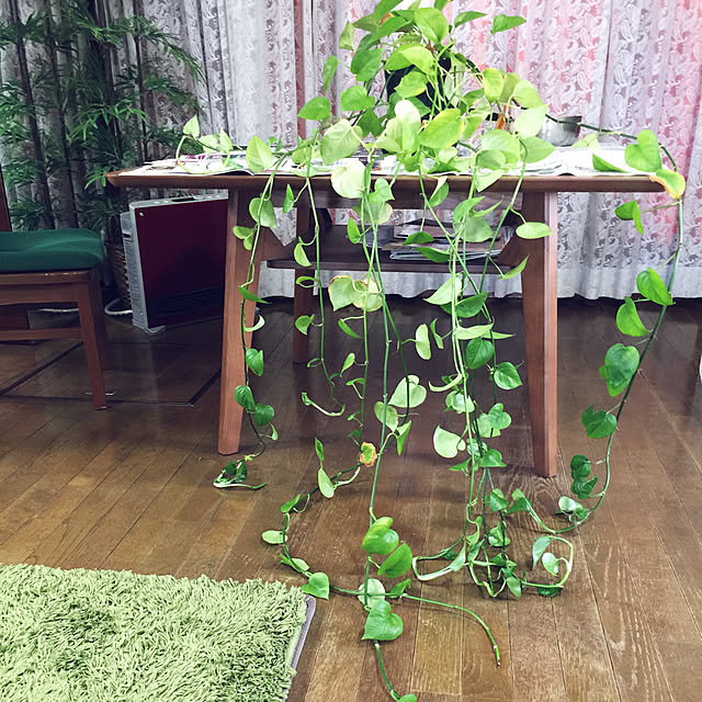 AOIさんの実例写真