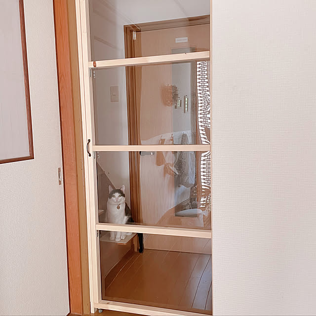 harukaさんの実例写真
