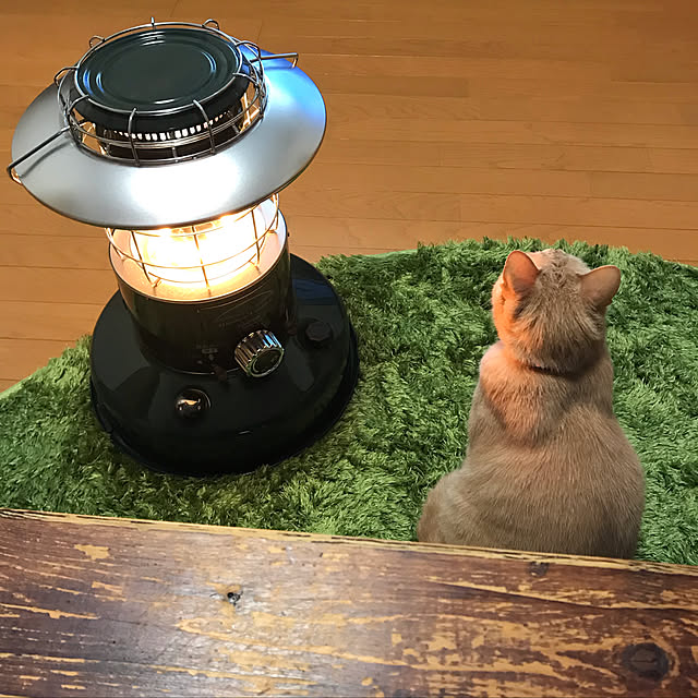 mikan161さんの実例写真