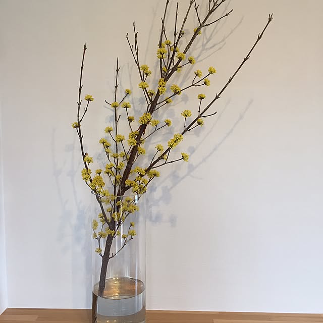 mameさんの実例写真