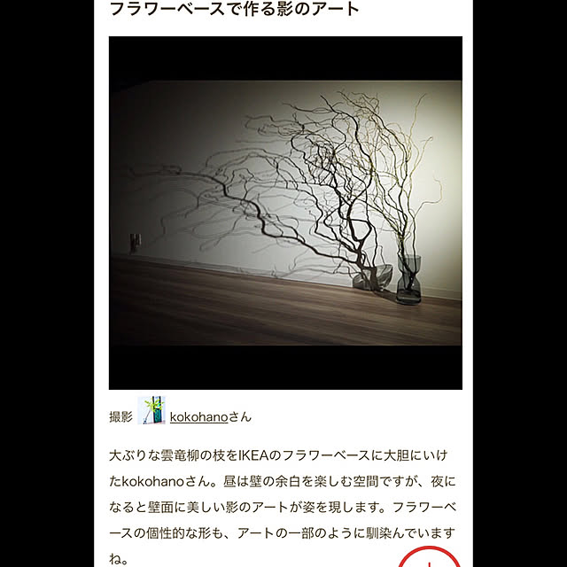 kokohanoさんの実例写真