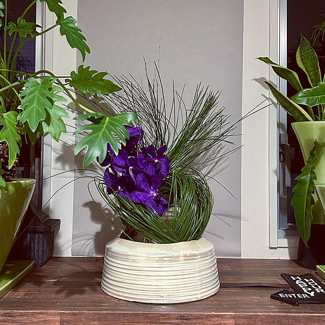 DAYONEさんの実例写真