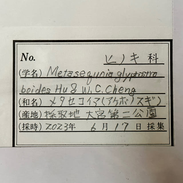 mizucchiさんの部屋