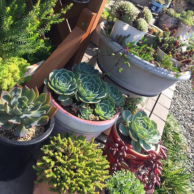 vam-06さんの実例写真