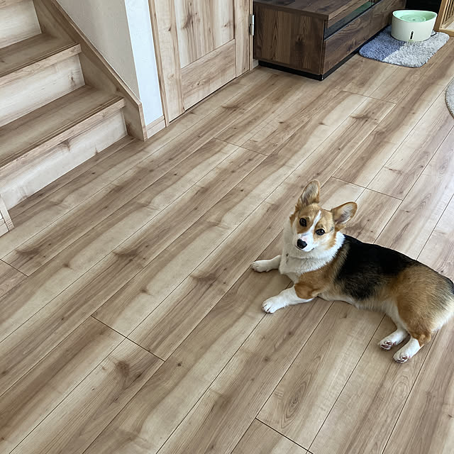 bobさんの実例写真