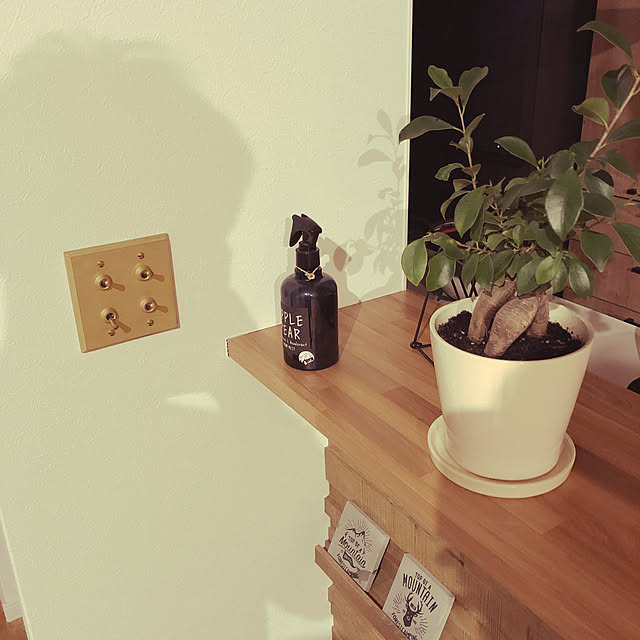 punkdrunker4さんの実例写真