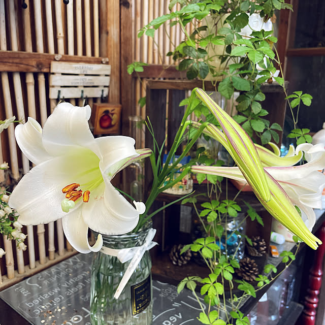 akekuroankoさんの実例写真