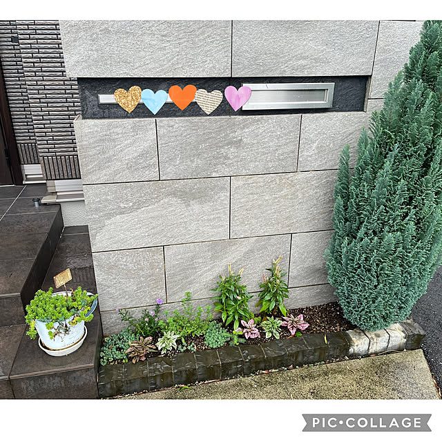 Natsuさんの実例写真