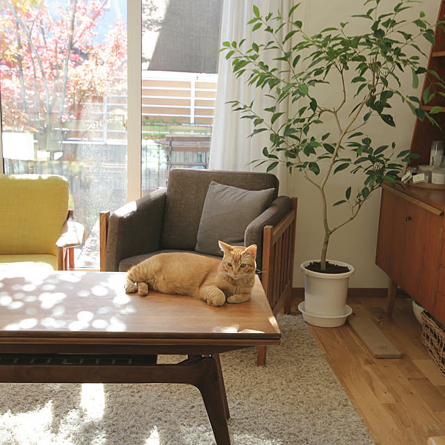 Hisashiさんの実例写真