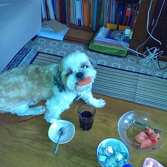 tibiさんの実例写真
