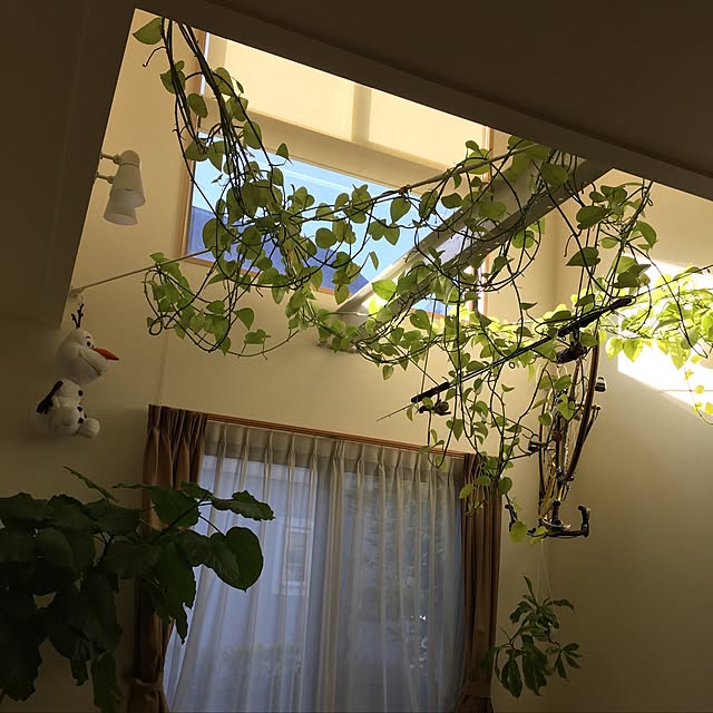 hiyoriさんの実例写真
