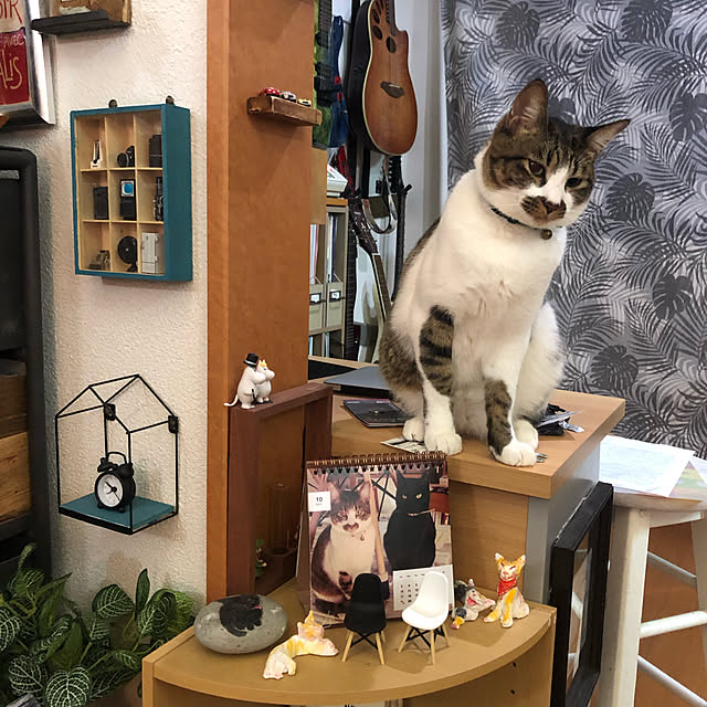 jijiさんの実例写真