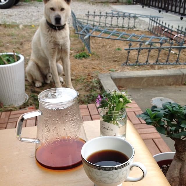 mugiinaさんの実例写真