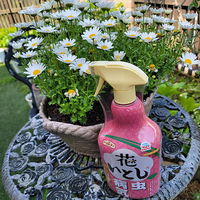VIORAさんの実例写真