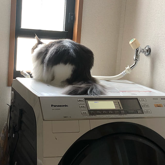 BirneAromaさんの実例写真