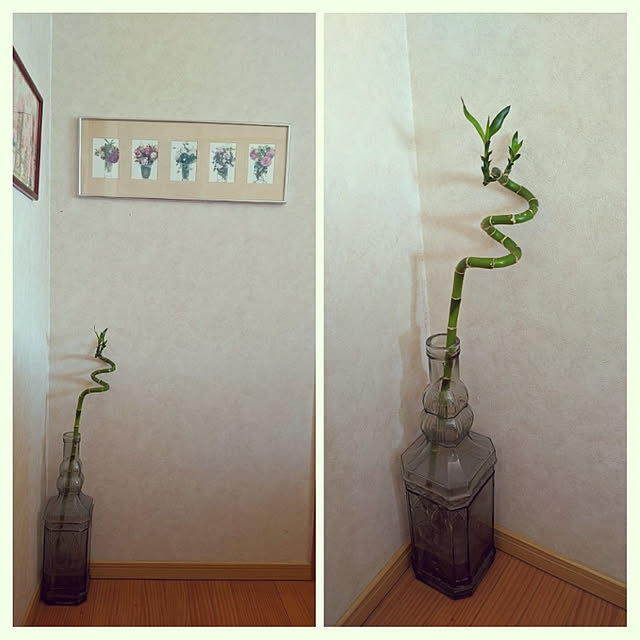 kouheiyuto24623takaさんの実例写真