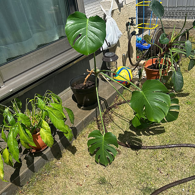 miukiさんの部屋