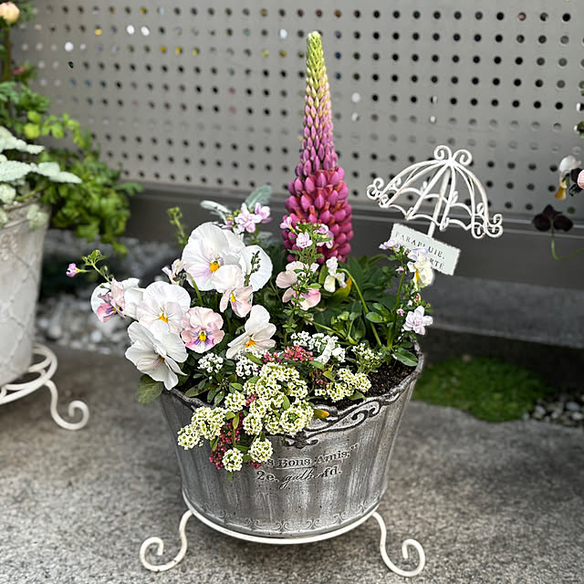 maayaさんの部屋