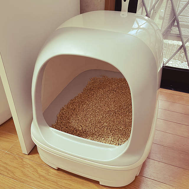 CATさんの実例写真