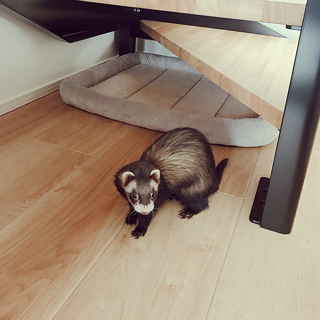 nikoさんの実例写真