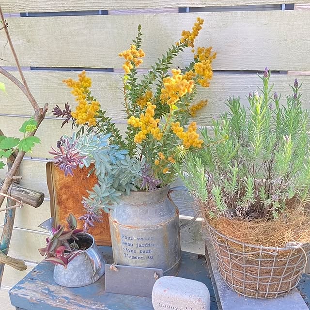 min_nimさんの実例写真