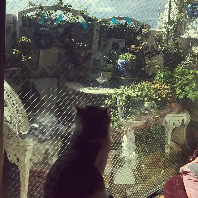 emmyyさんの実例写真