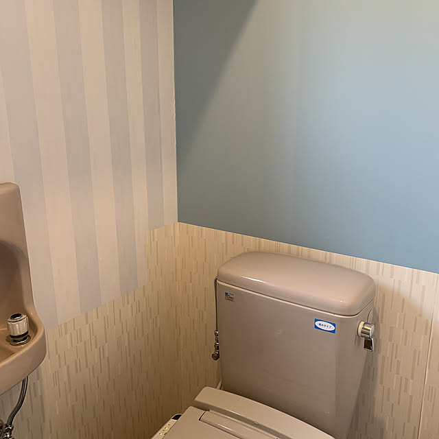 100均/セリア/バス/トイレのインテリア実例 - 2020-06-14 09:04:55