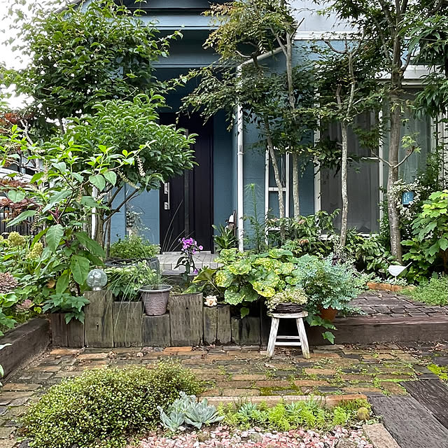 nobikoさんの部屋