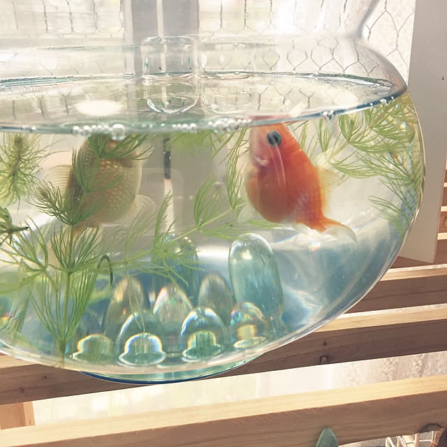 takakoさんの実例写真