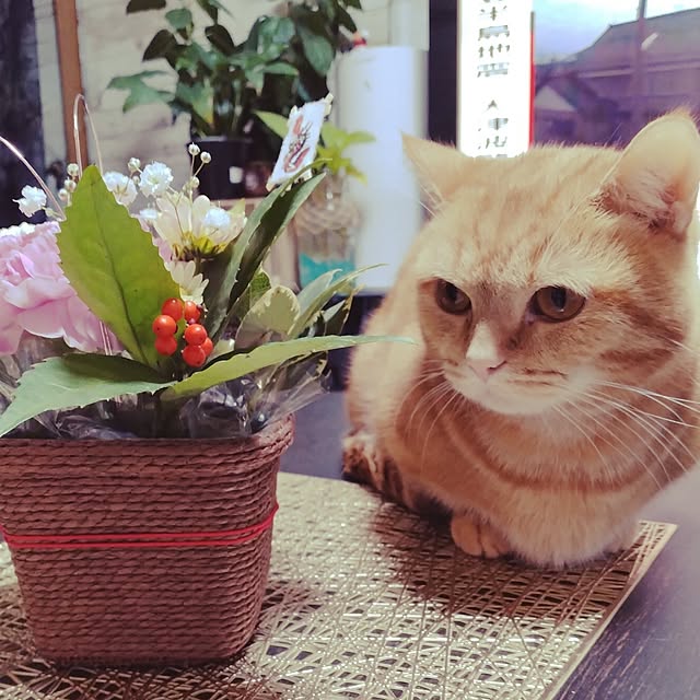 runaさんの実例写真