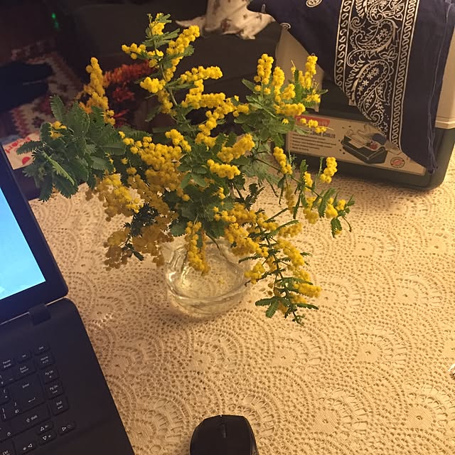 k_m_gさんの実例写真