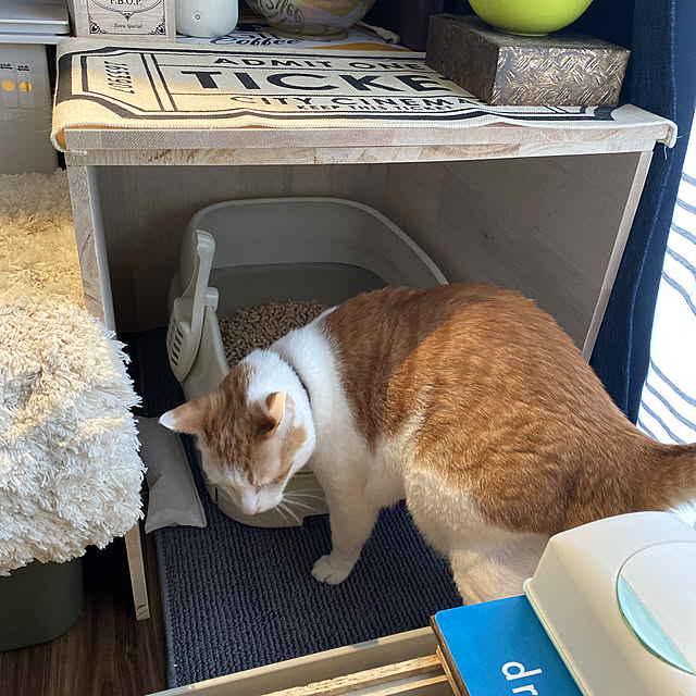 porinさんの実例写真