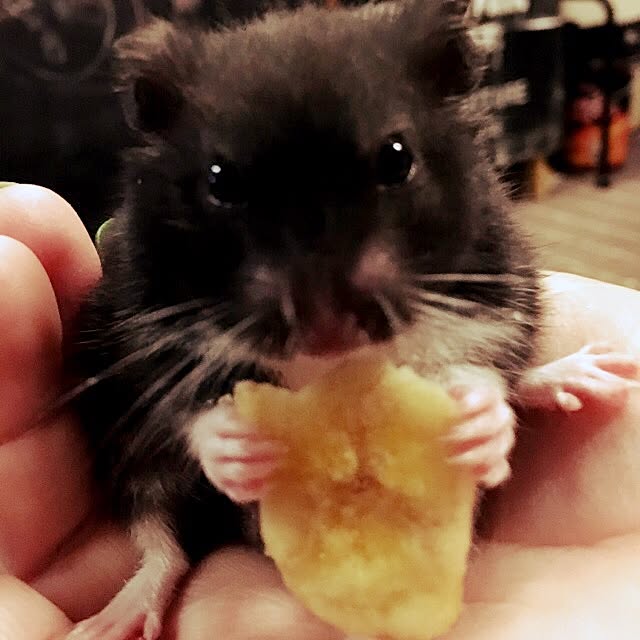 yunさんの実例写真