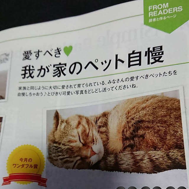 Y.Gさんの実例写真