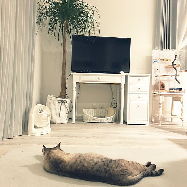 mieさんの実例写真