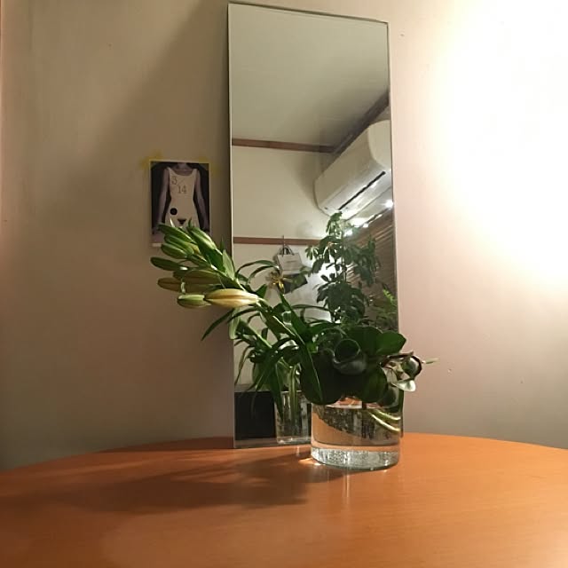 実例写真