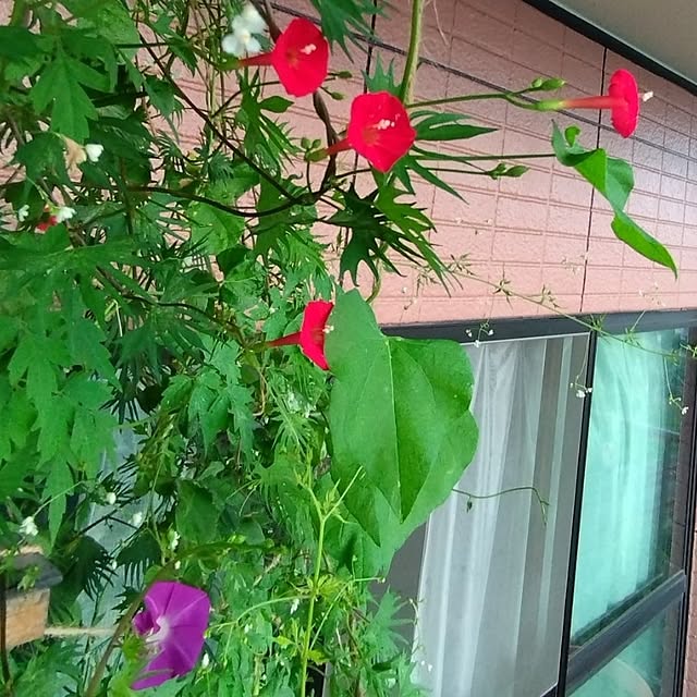 NOAHさんの部屋