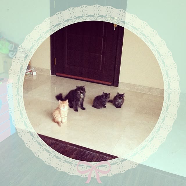 ksasaraさんの実例写真