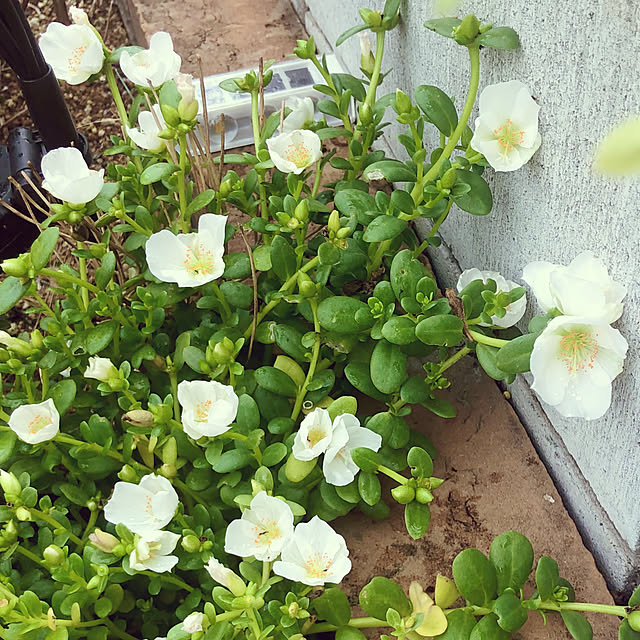 tomoさんの部屋