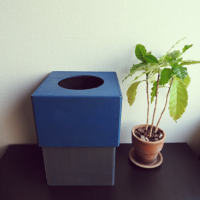 部屋全体/DIY/観葉植物のインテリア実例 - 2021-09-16 21:36:51