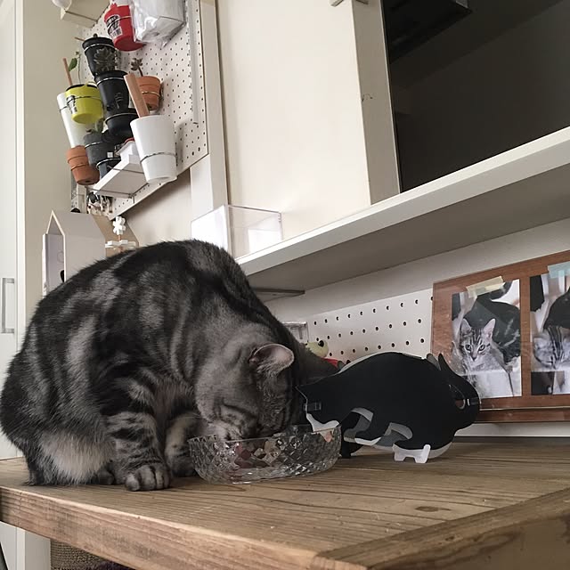 mikomaruさんの実例写真