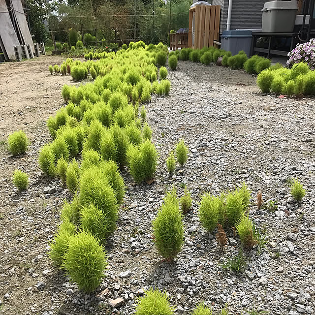 okadajapanさんの実例写真