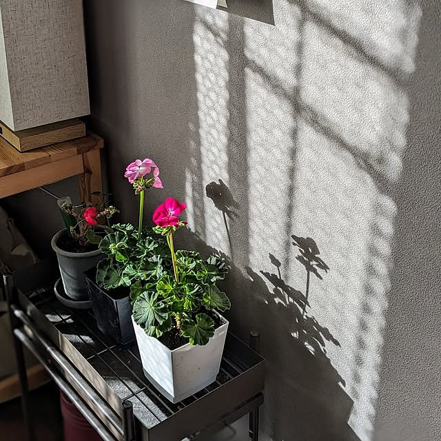 reeさんの実例写真